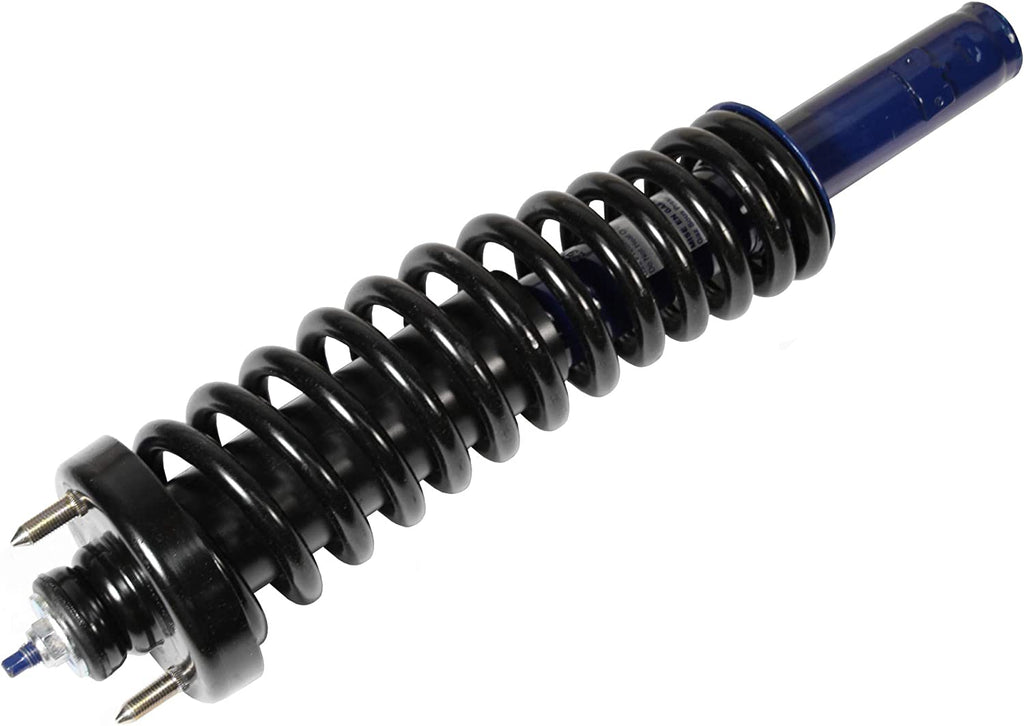 Roadmatic 181291L Strut and Coil Spring Assembly