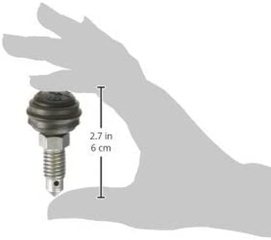 Screw Screw
