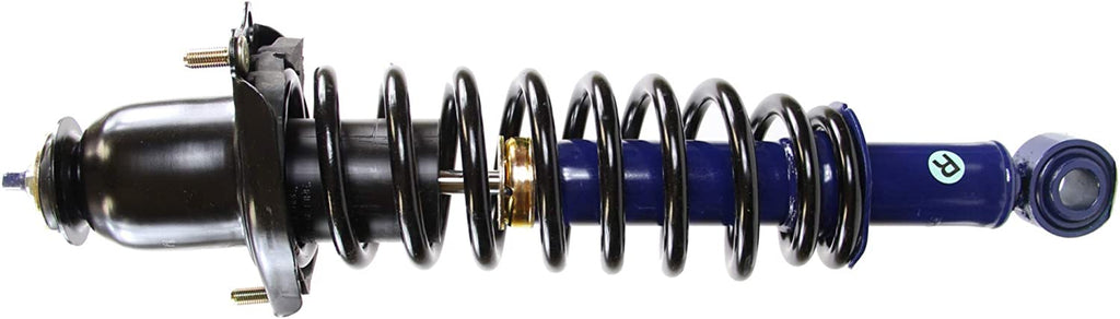 Shocks & Struts Roadmatic 181373R Strut and Coil Spring Assembly