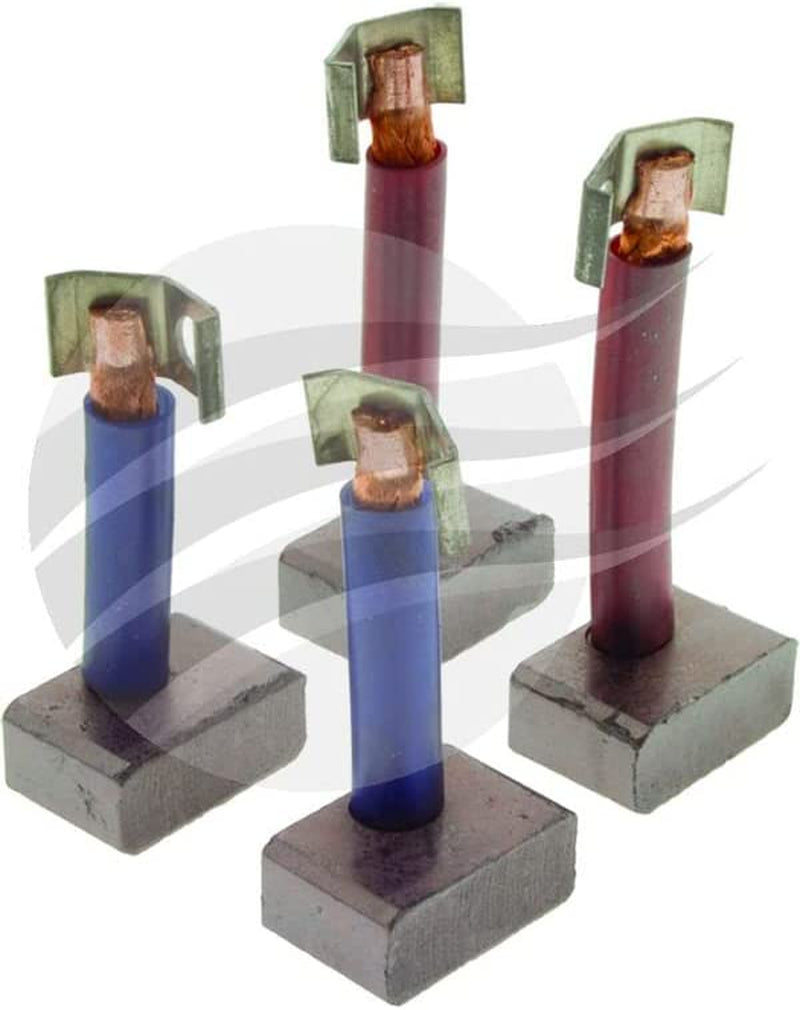 Starter Carbon Brush SET 2007014062