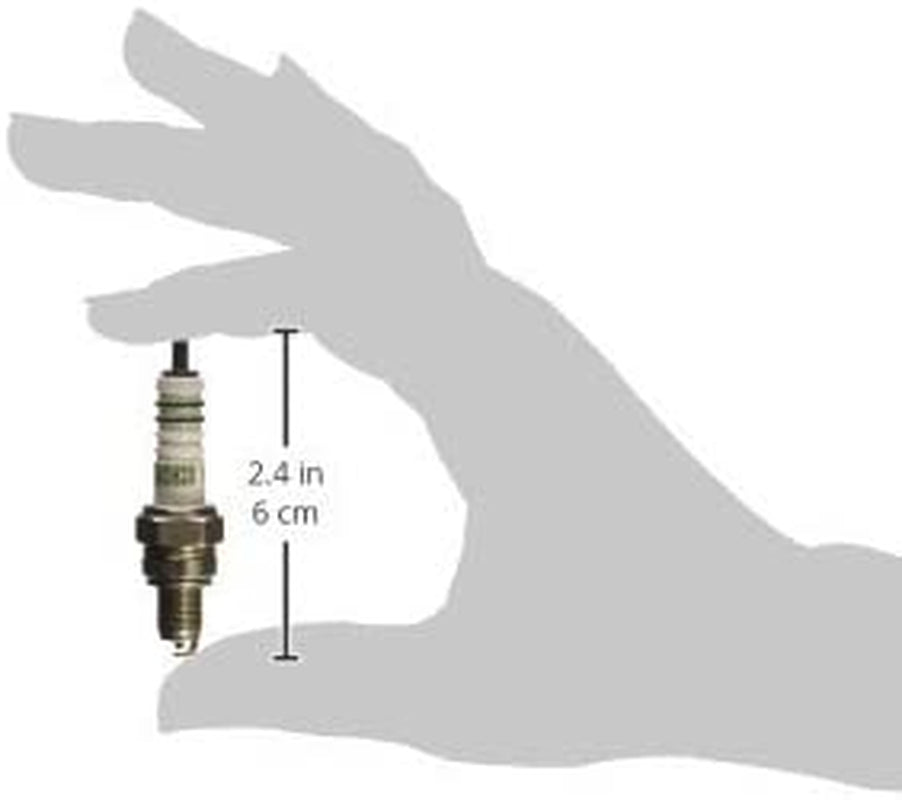 0242055501 Spark Plug