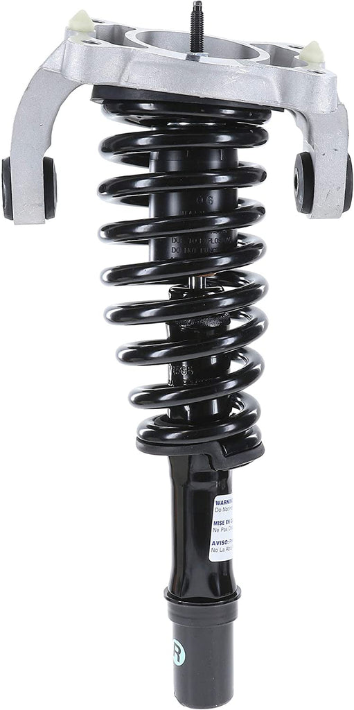 181565R Suspension Strut and Coil Spring Assembly