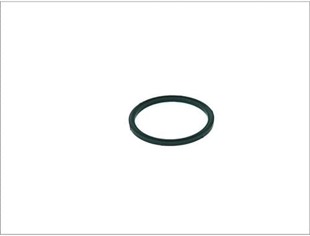 F00R0P1246 Sealing Ring