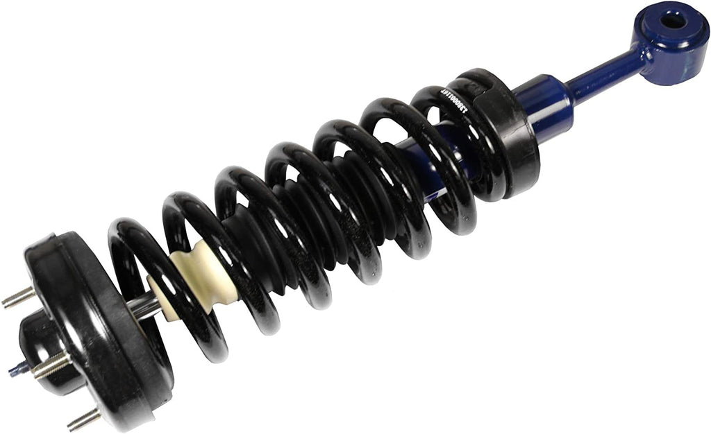 Roadmatic 181361 Strut and Coil Spring Assembly