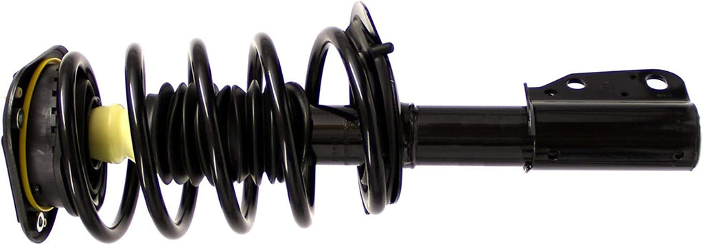181665 Strut Assembly