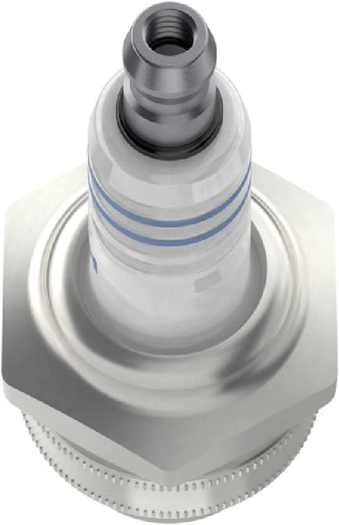 0241309501 Spark Plug