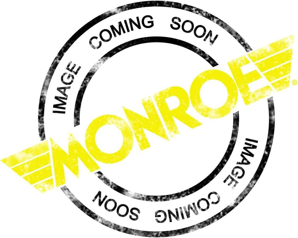 Monroe P01141 Suspension Shock Mounting Kit